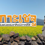 เที่ยวเกาะเจจูสุดสวย! ฮัลลาซาน-หาดเจองบัง-ถ้ำมันจางกุล สวยทุกมุม